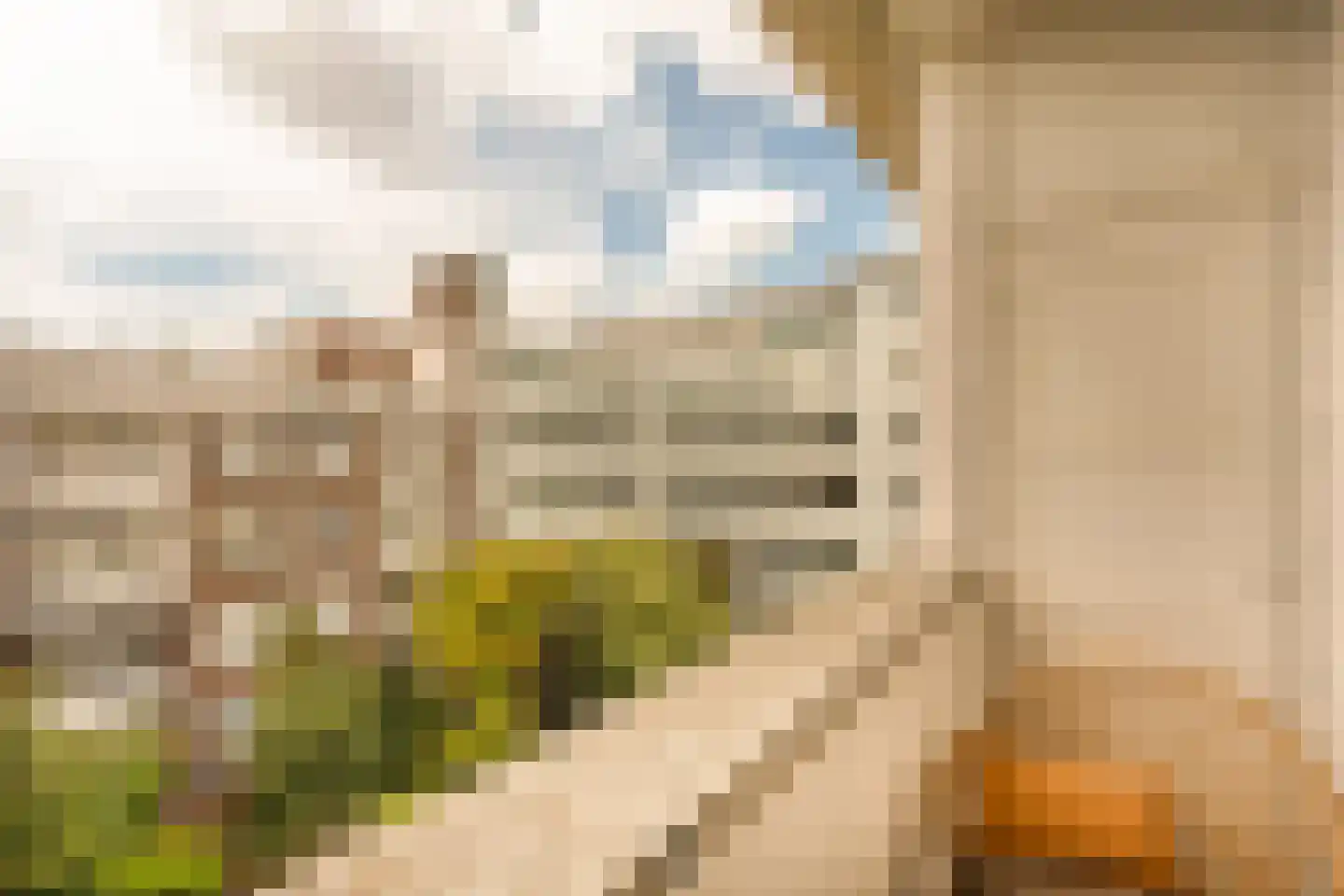 Minervalaan 12 H Amsterdam thumbnail 45