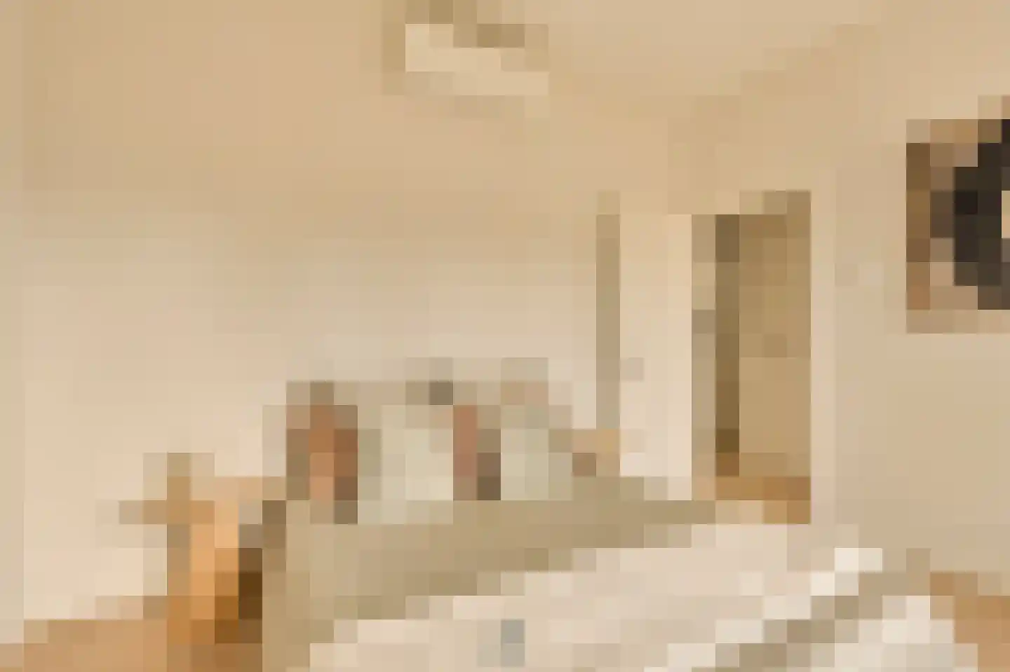Minervalaan 12 H Amsterdam thumbnail 46