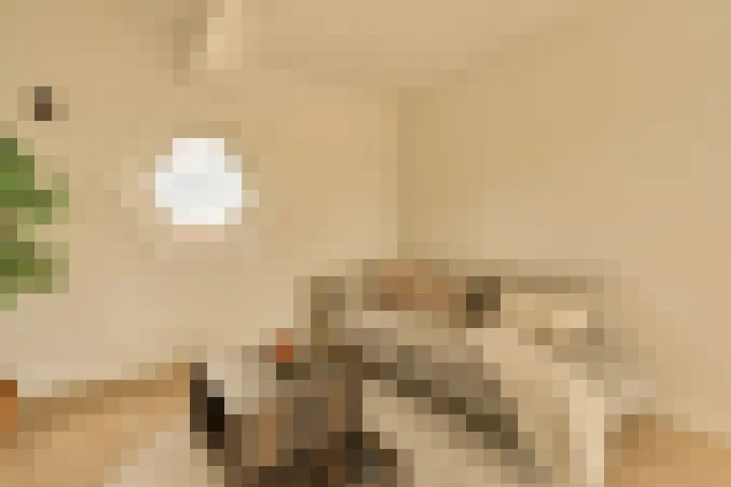 Minervalaan 12 H Amsterdam thumbnail 53