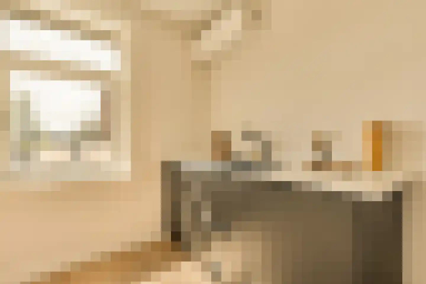 Minervalaan 12 H Amsterdam thumbnail 57