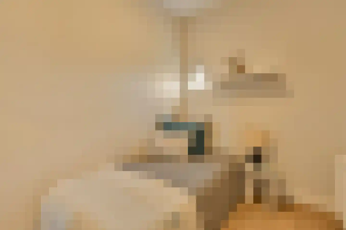 Minervalaan 12 H Amsterdam thumbnail 58