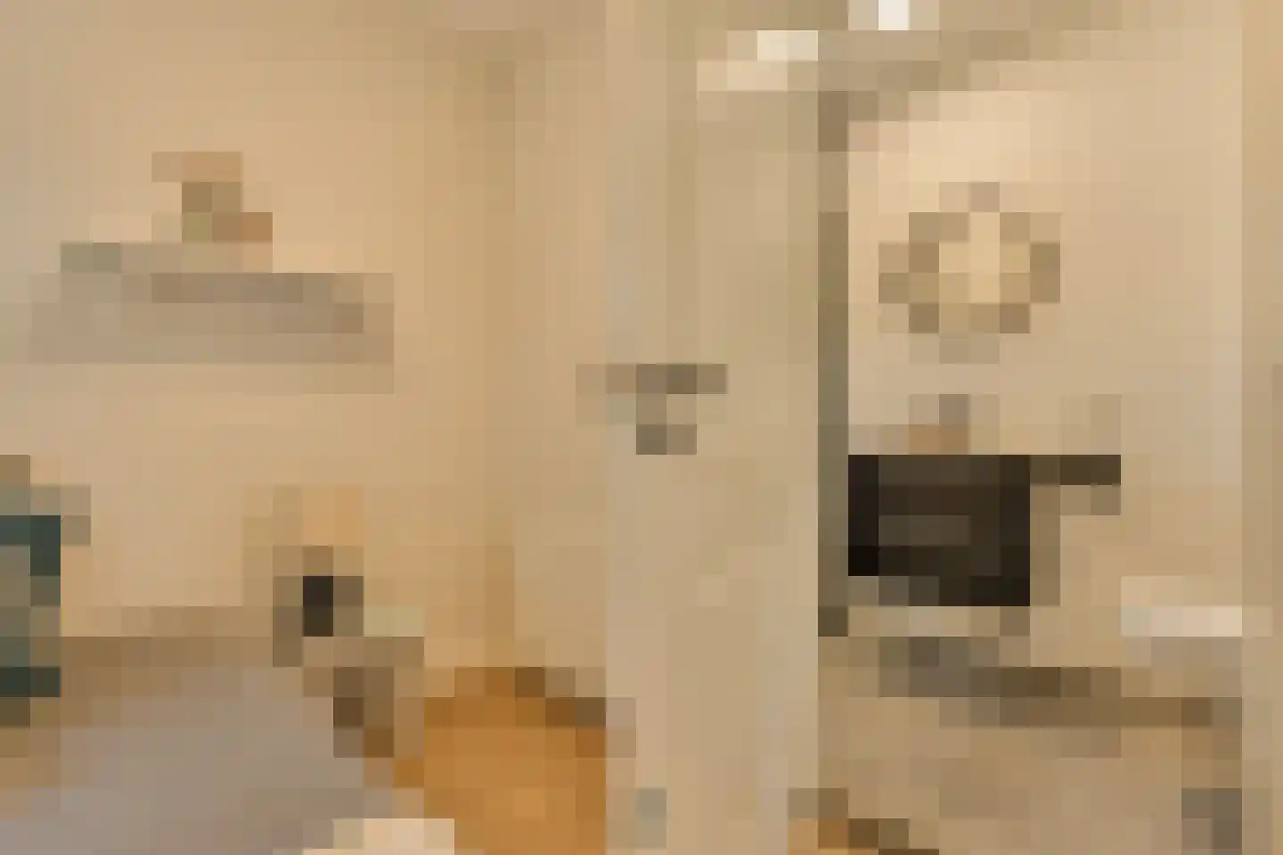 Minervalaan 12 H Amsterdam thumbnail 59
