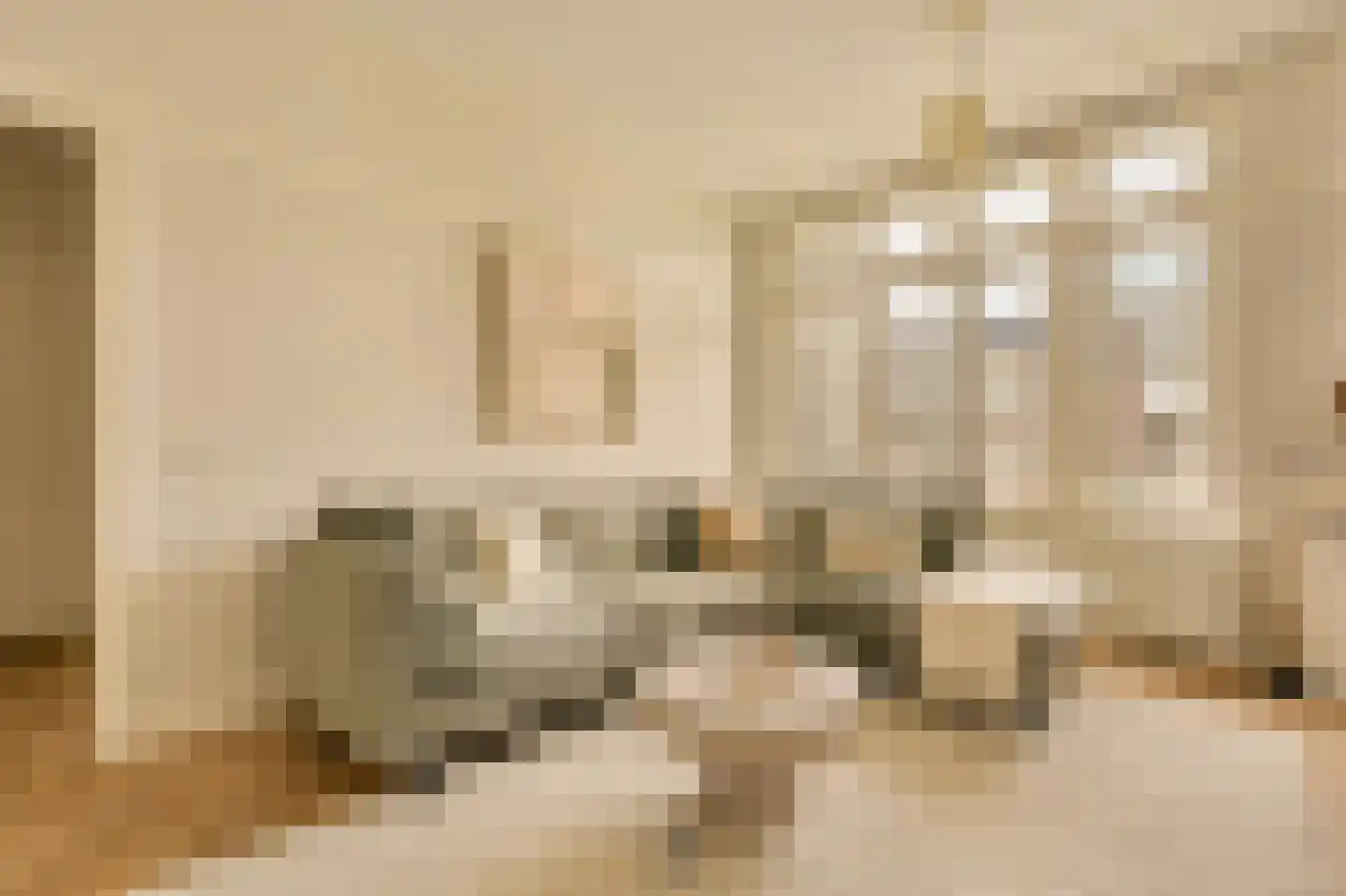 Minervalaan 12 H Amsterdam thumbnail 6