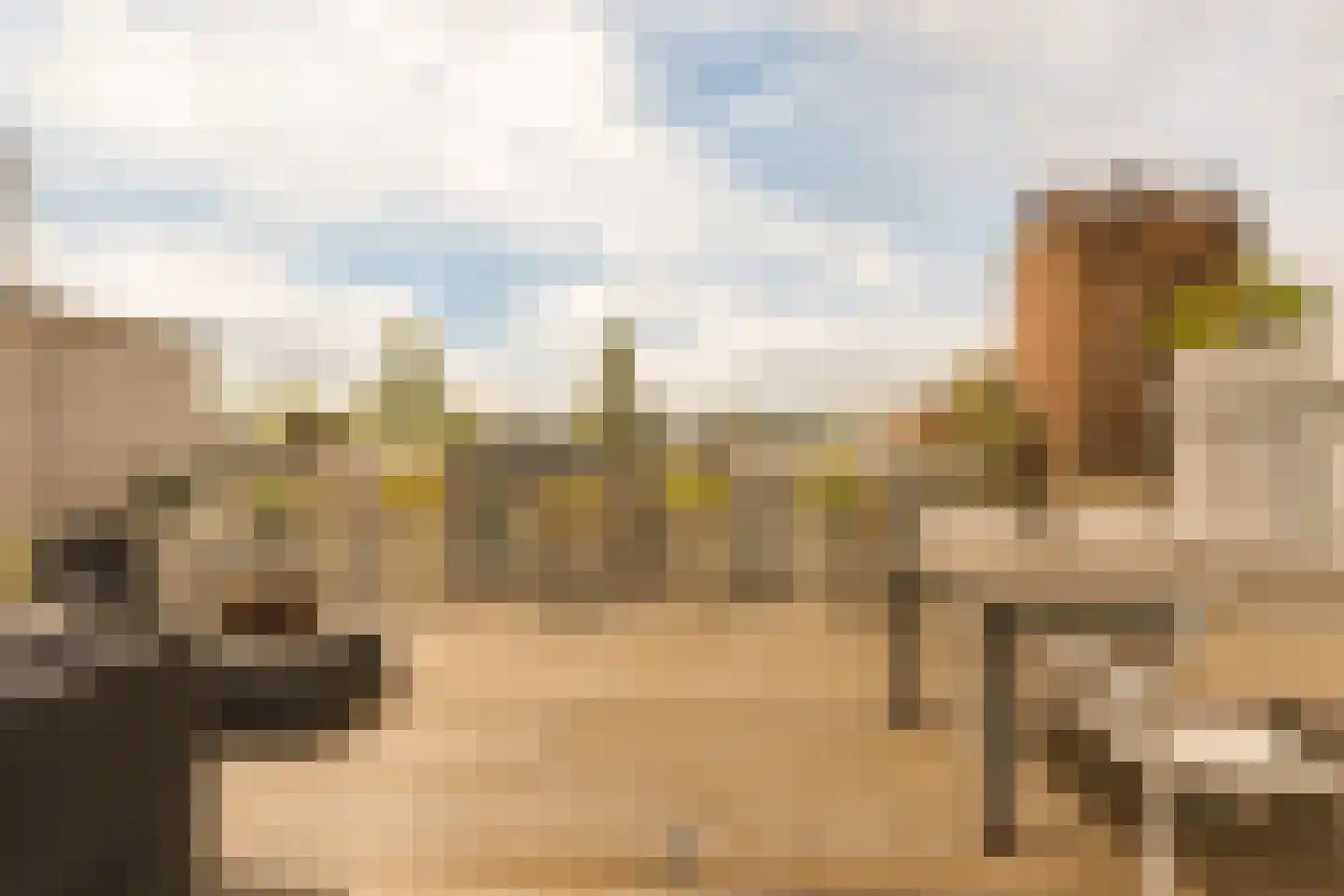 Minervalaan 12 H Amsterdam thumbnail 62