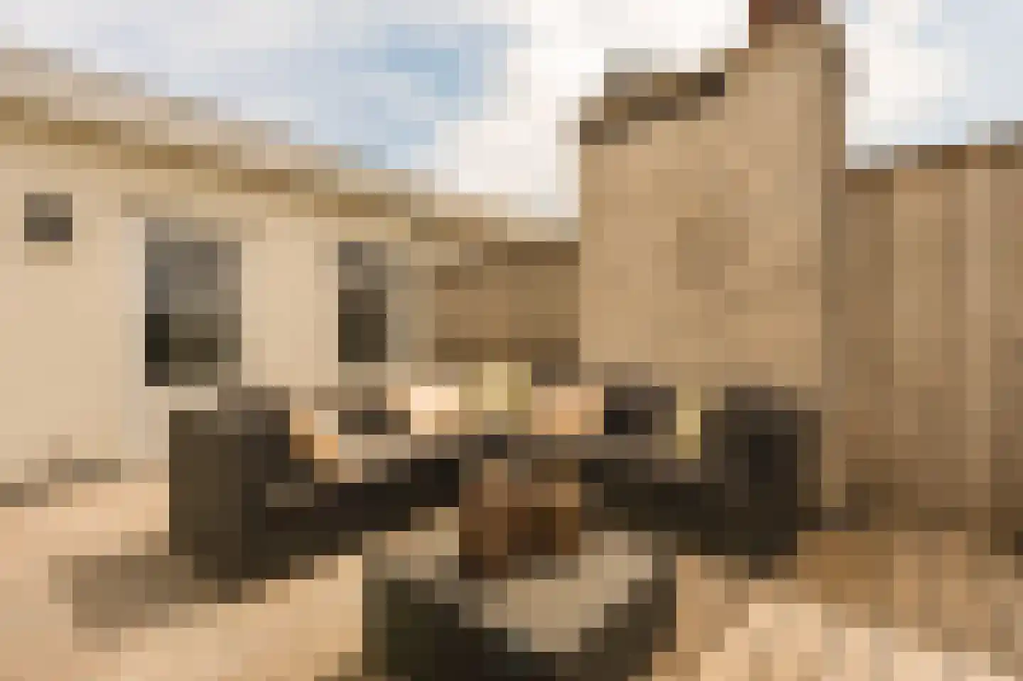 Minervalaan 12 H Amsterdam thumbnail 64