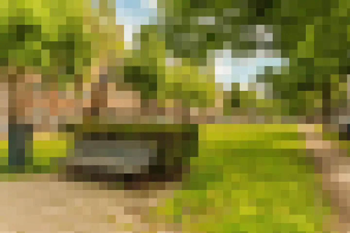 Minervalaan 12 H Amsterdam thumbnail 71