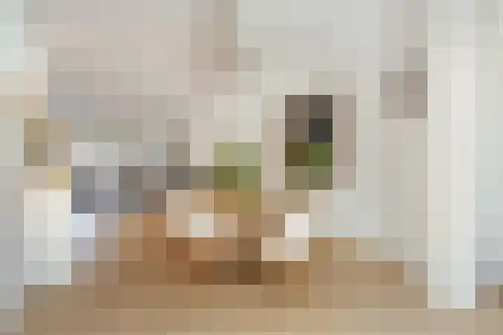 Minervalaan 14 2 Amsterdam thumbnail 10