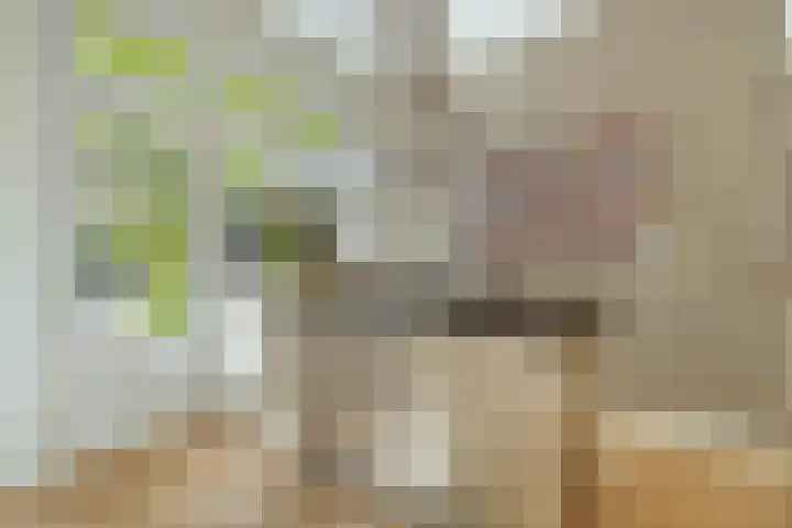 Minervalaan 14 2 Amsterdam thumbnail 11