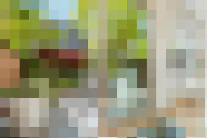 Minervalaan 14 2 Amsterdam thumbnail 14