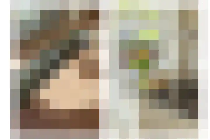 Minervalaan 14 2 Amsterdam thumbnail 15