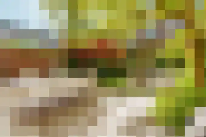 Minervalaan 14 2 Amsterdam thumbnail 16