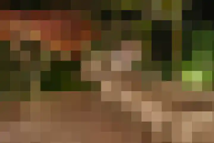 Minervalaan 14 2 Amsterdam thumbnail 18