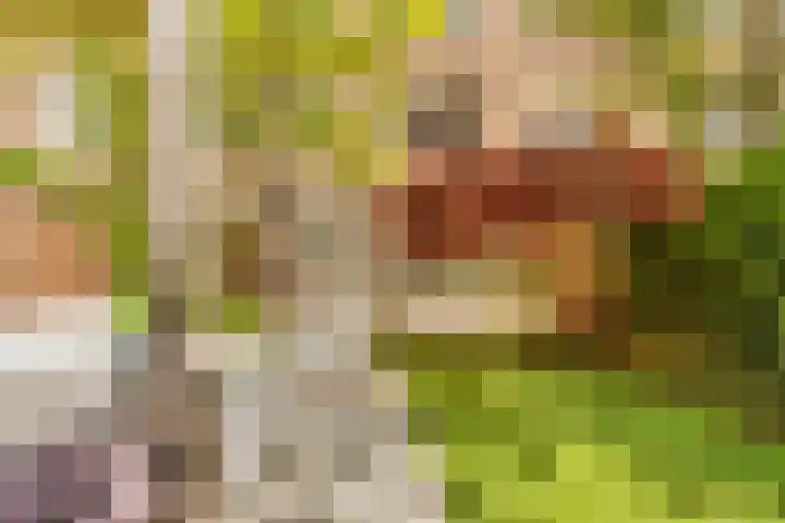 Minervalaan 14 2 Amsterdam thumbnail 19