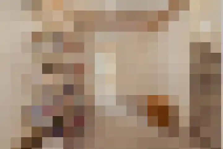 Minervalaan 14 2 Amsterdam thumbnail 22