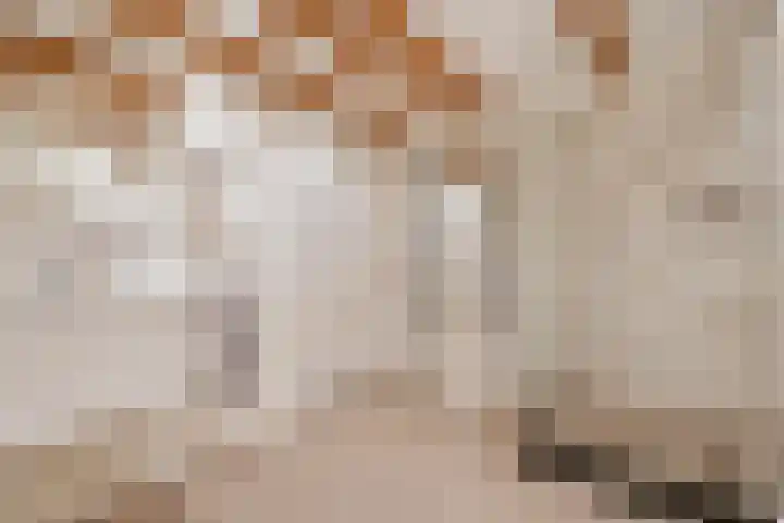 Minervalaan 14 2 Amsterdam thumbnail 26