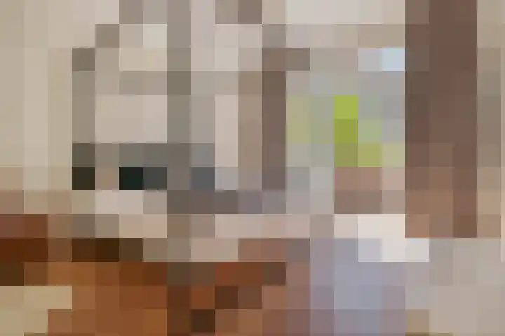 Minervalaan 14 2 Amsterdam thumbnail 29