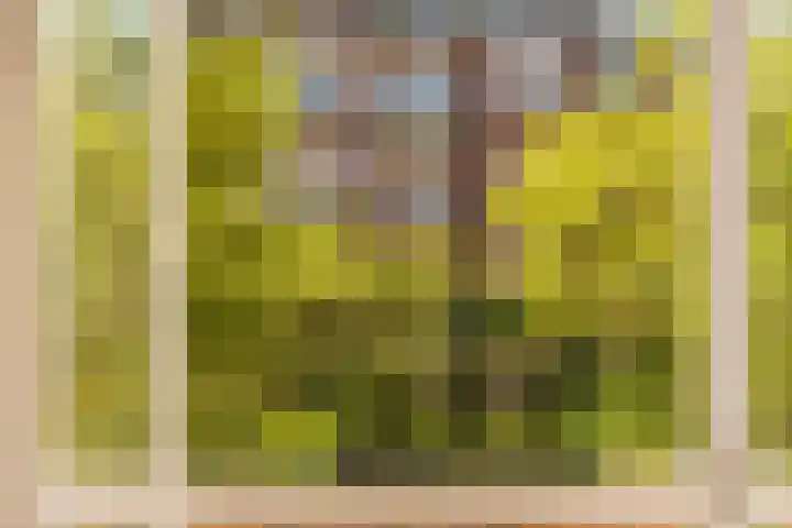 Minervalaan 14 2 Amsterdam thumbnail 32
