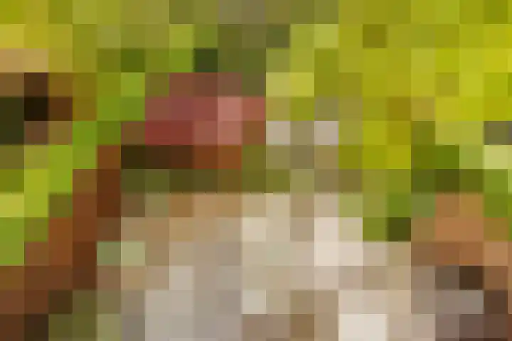 Minervalaan 14 2 Amsterdam thumbnail 34