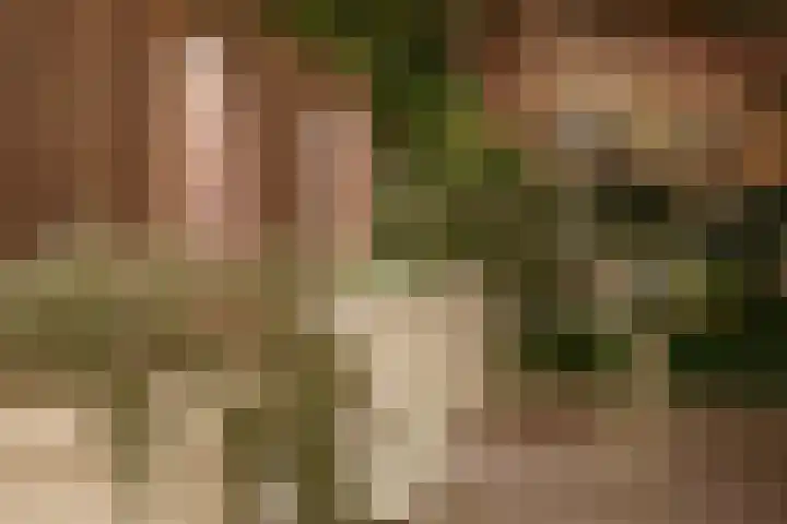 Minervalaan 14 2 Amsterdam thumbnail 46