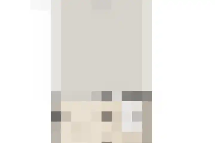 Minervalaan 14 2 Amsterdam thumbnail 55