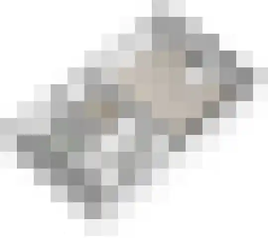 Minervalaan 14 2 Amsterdam thumbnail 60