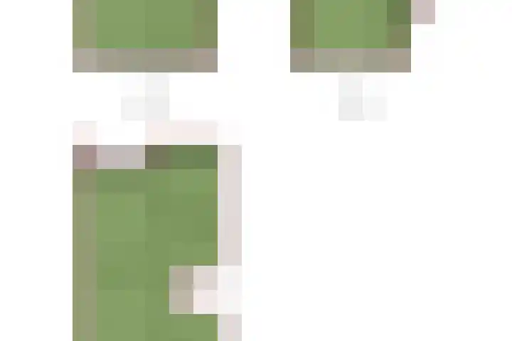 Minervalaan 14 2 Amsterdam thumbnail 61