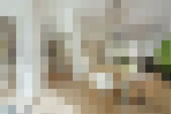 Minervalaan 14 2 Amsterdam thumbnail 9