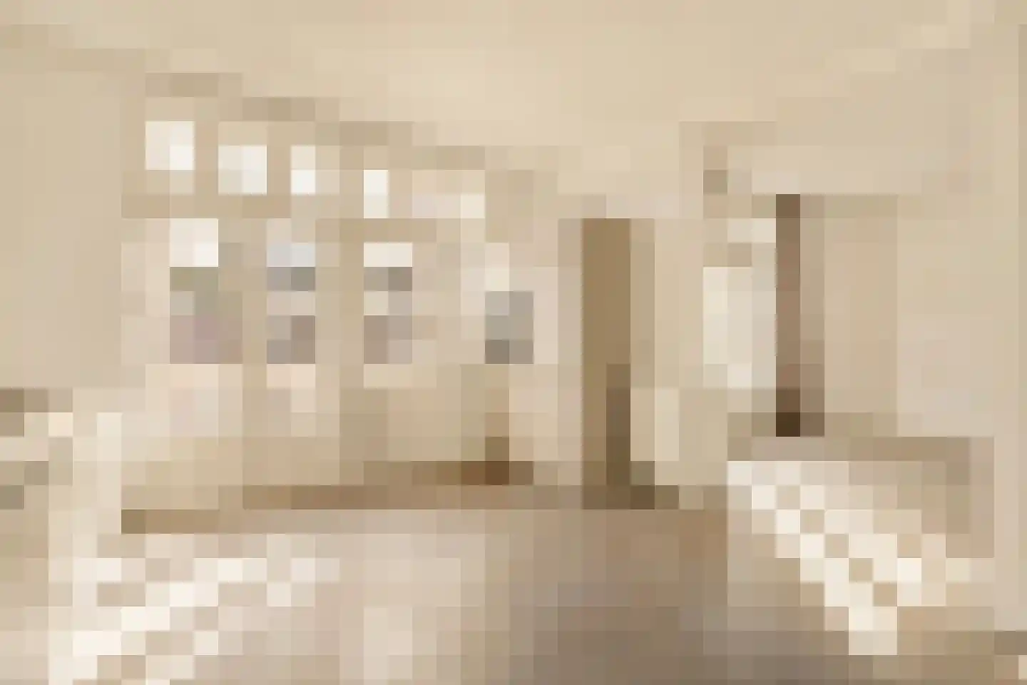 Minervalaan 23 3 Amsterdam thumbnail 13