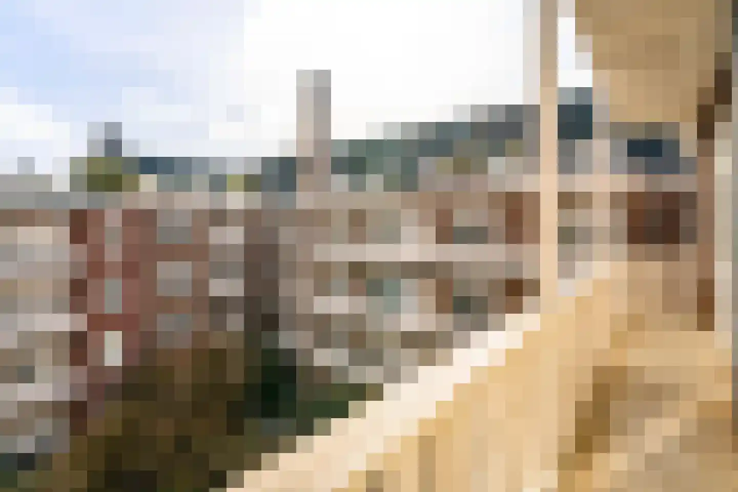 Minervalaan 23 3 Amsterdam thumbnail 15