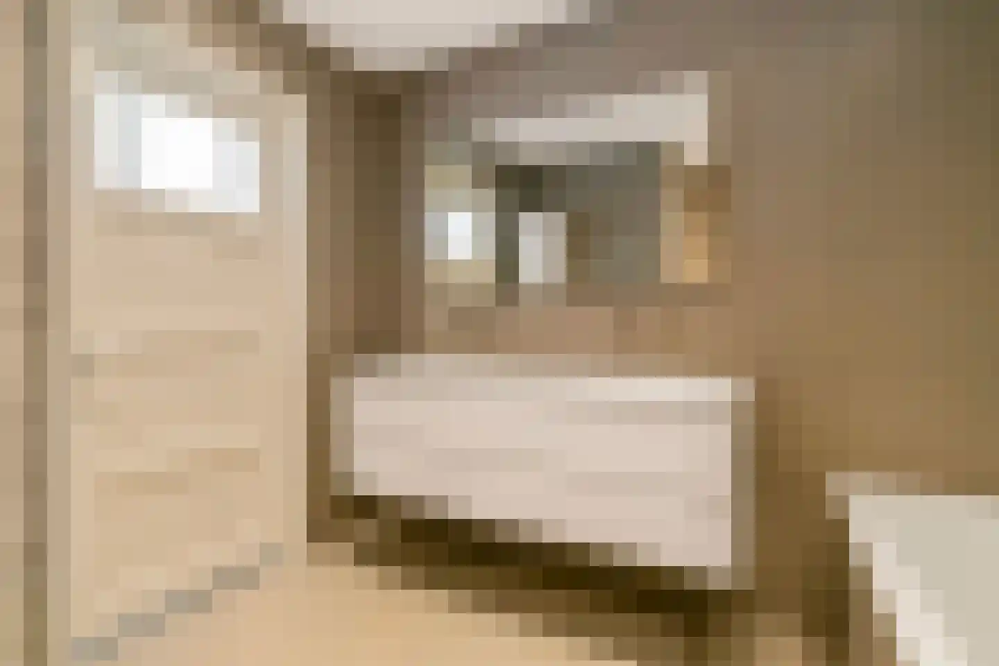 Minervalaan 23 3 Amsterdam thumbnail 18