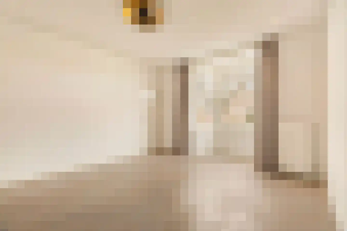 Minervalaan 23 3 Amsterdam thumbnail 22