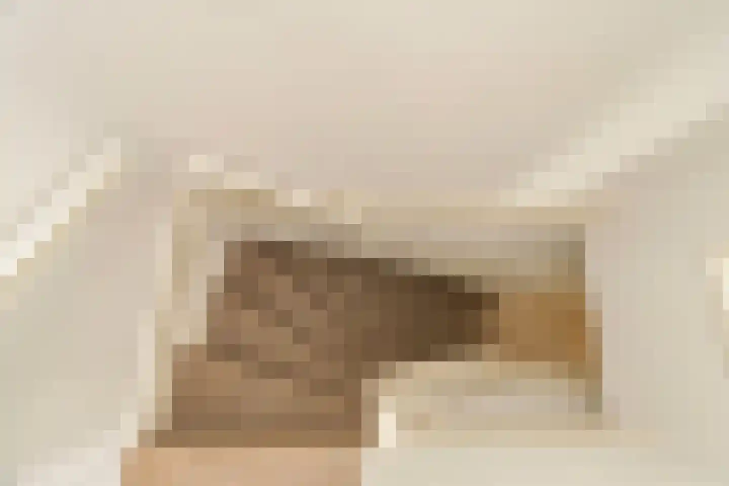 Minervalaan 23 3 Amsterdam thumbnail 25