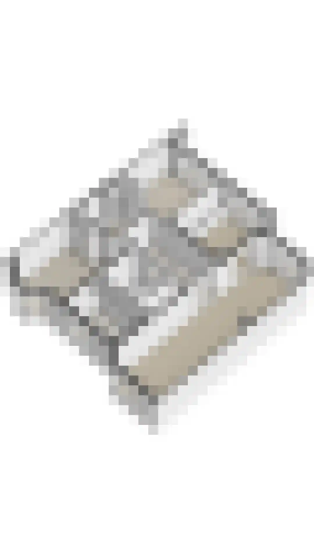 Minervalaan 23 3 Amsterdam thumbnail 40