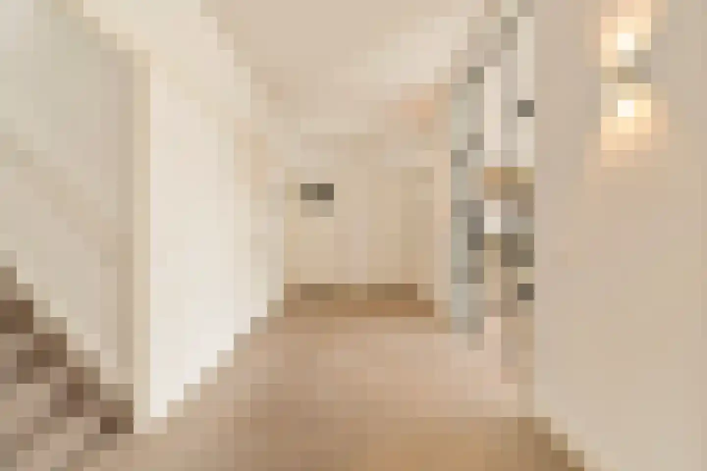 Minervalaan 23 3 Amsterdam thumbnail 5