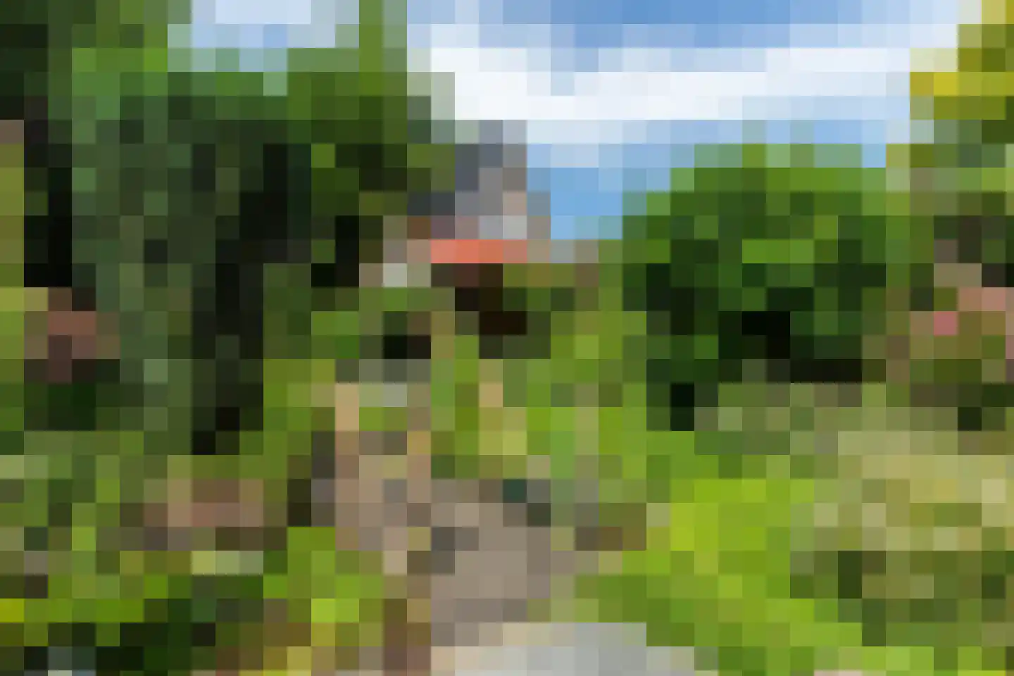 Minervalaan 27 Apeldoorn thumbnail 15