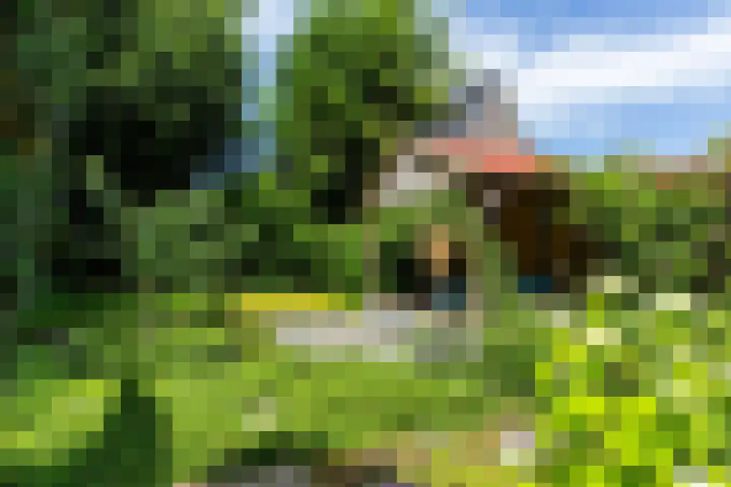 Minervalaan 27 Apeldoorn thumbnail 16