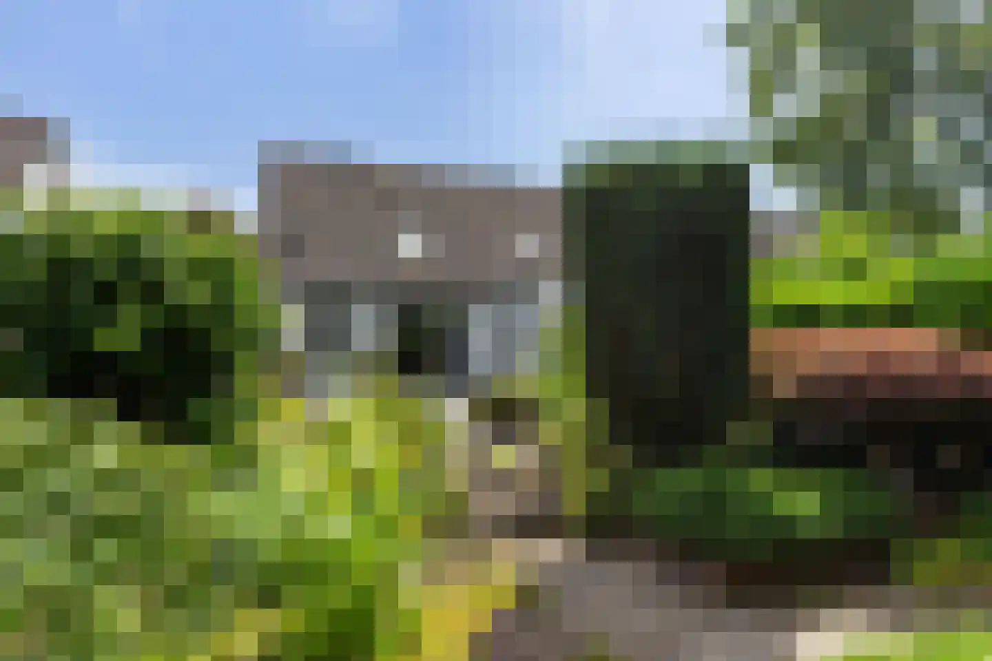 Minervalaan 27 Apeldoorn thumbnail 18