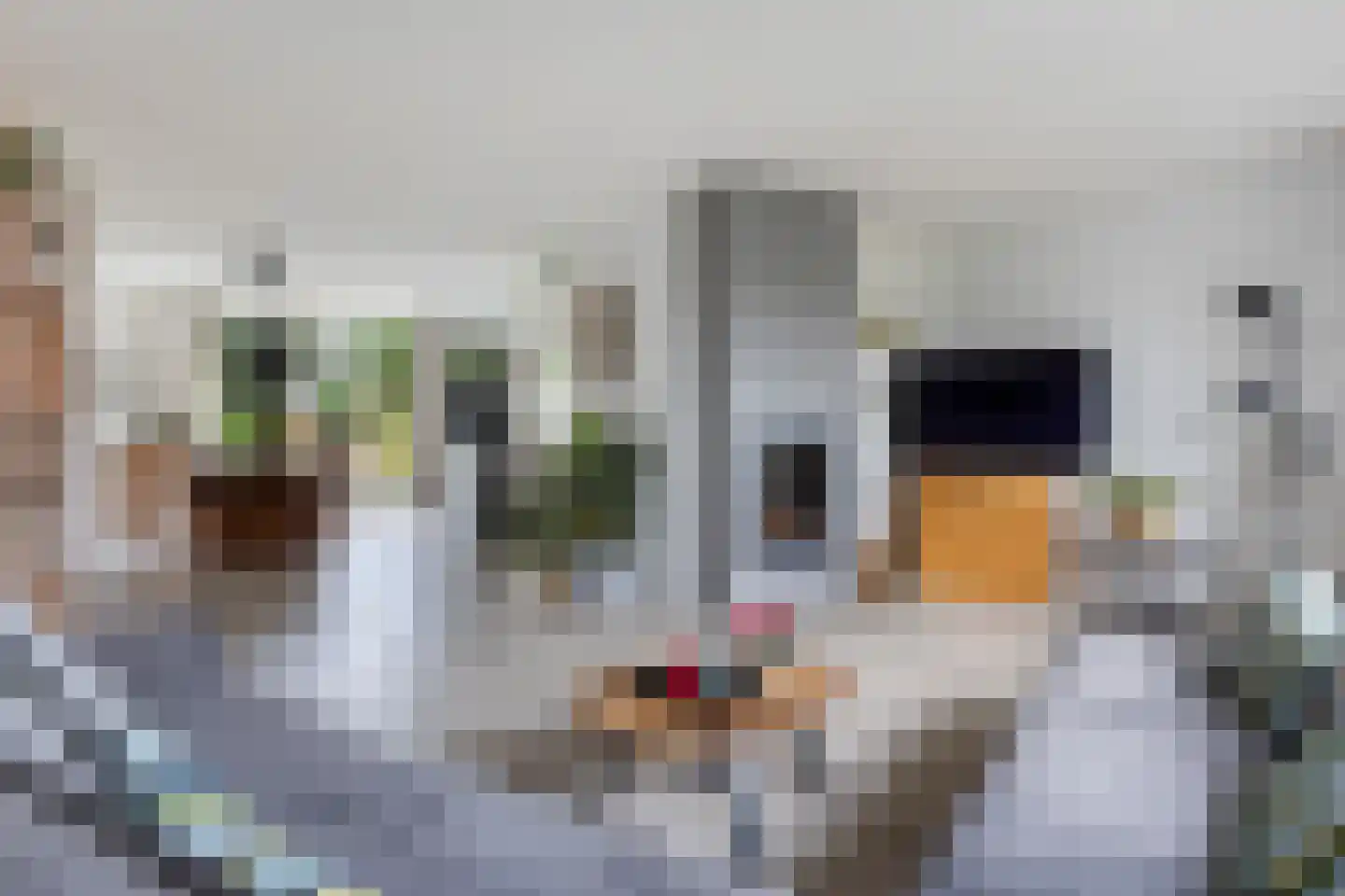 Minervalaan 27 Apeldoorn thumbnail 4