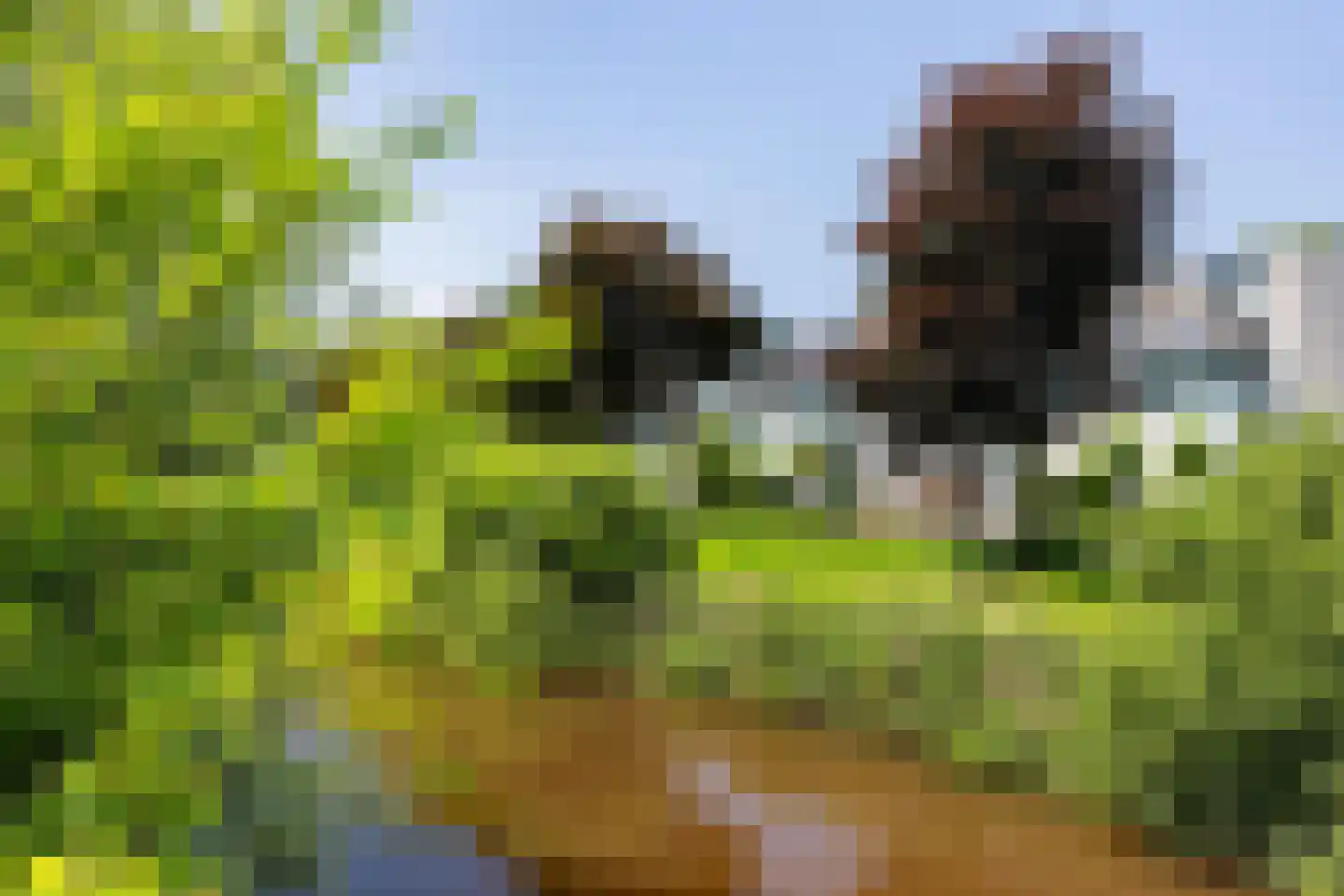 Minervalaan 27 Apeldoorn thumbnail 41