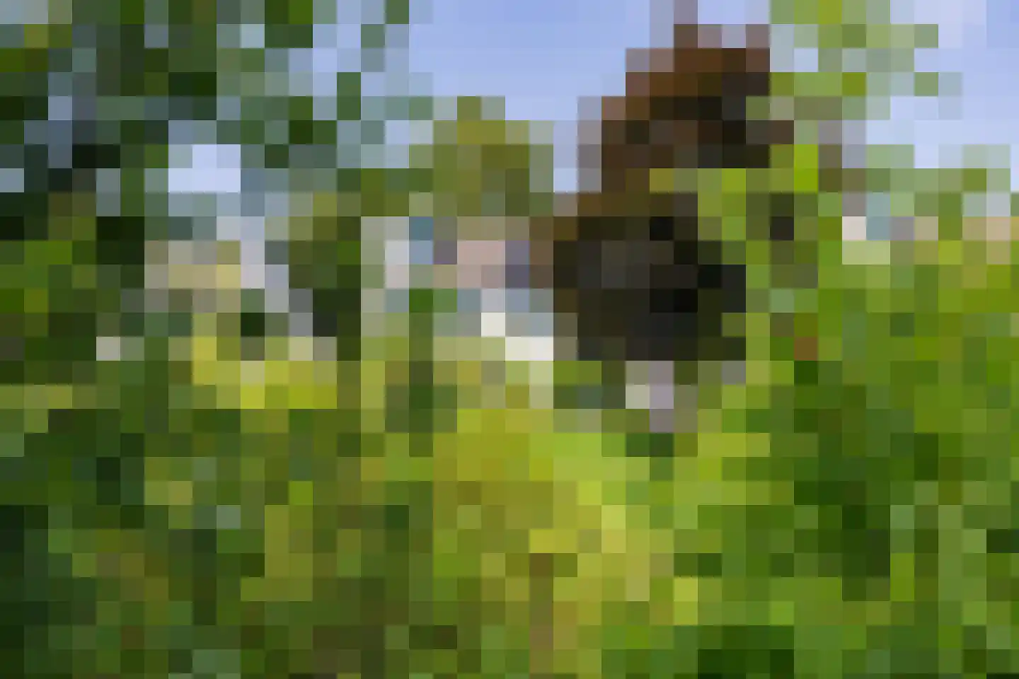 Minervalaan 27 Apeldoorn thumbnail 42