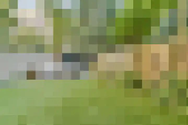 Minervalaan 35 2 Amsterdam thumbnail 16