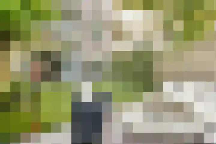 Minervalaan 35 2 Amsterdam thumbnail 18