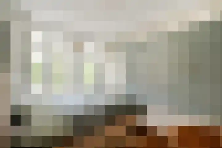 Minervalaan 35 2 Amsterdam thumbnail 22