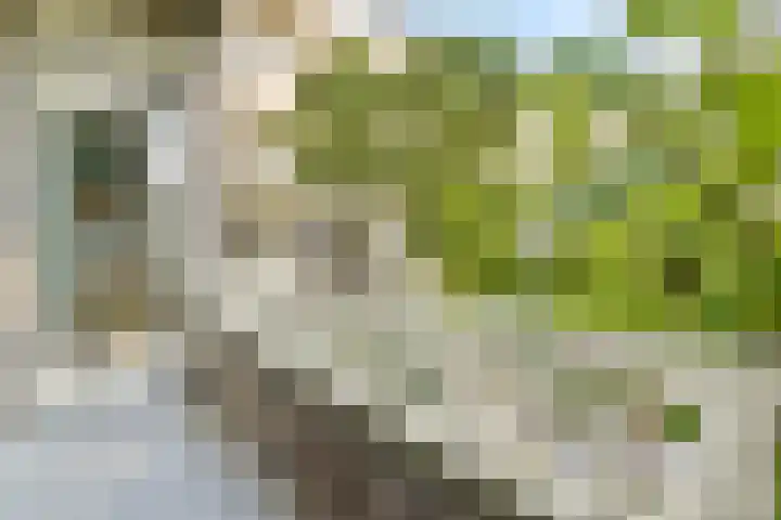 Minervalaan 35 2 Amsterdam thumbnail 24
