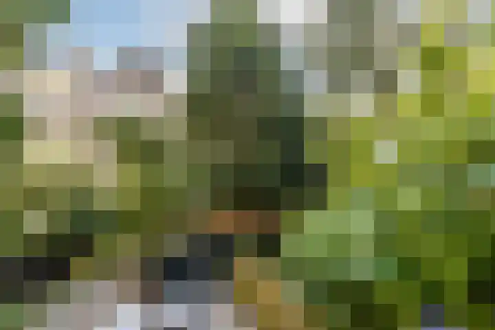 Minervalaan 35 2 Amsterdam thumbnail 26