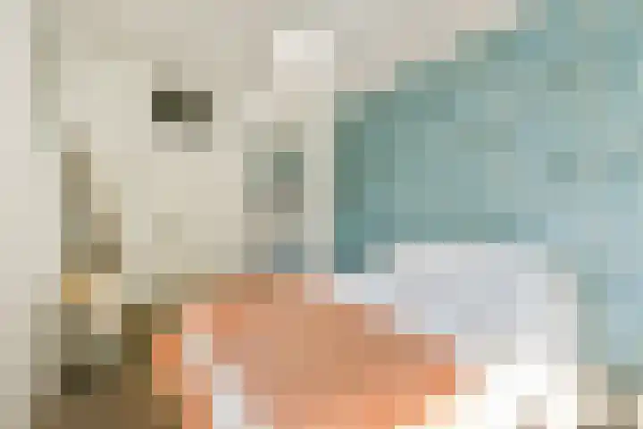 Minervalaan 35 2 Amsterdam thumbnail 30