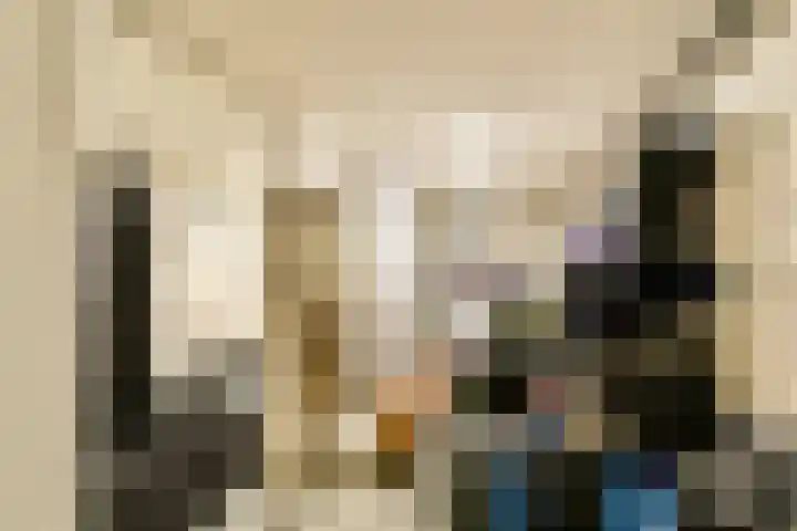 Minervalaan 35 2 Amsterdam thumbnail 38