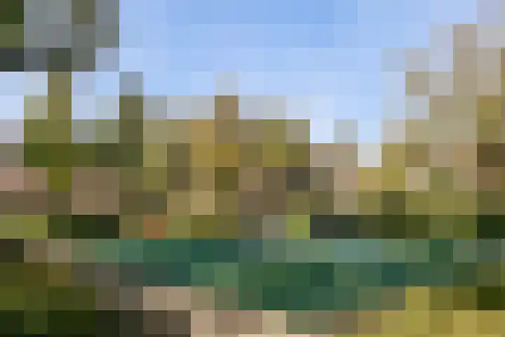 Minervalaan 35 2 Amsterdam thumbnail 39