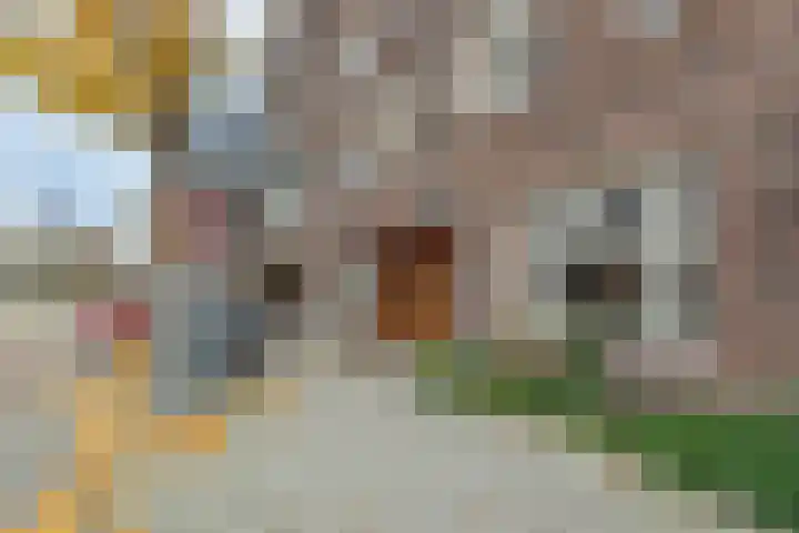 Minervalaan 35 2 Amsterdam thumbnail 4