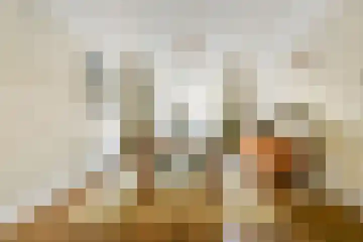 Minervalaan 35 2 Amsterdam thumbnail 7